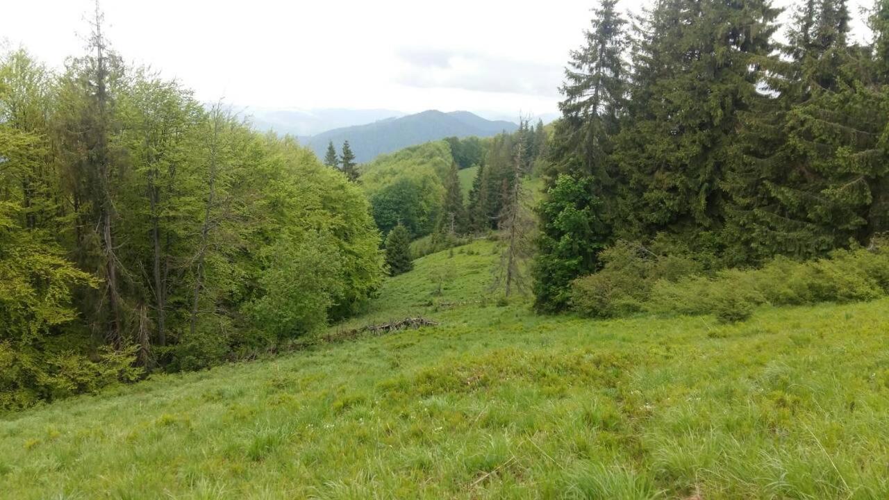 Лісовий Маєток Slavsko Extérieur photo