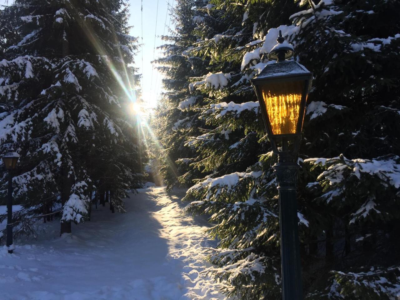 Лісовий Маєток Slavsko Extérieur photo