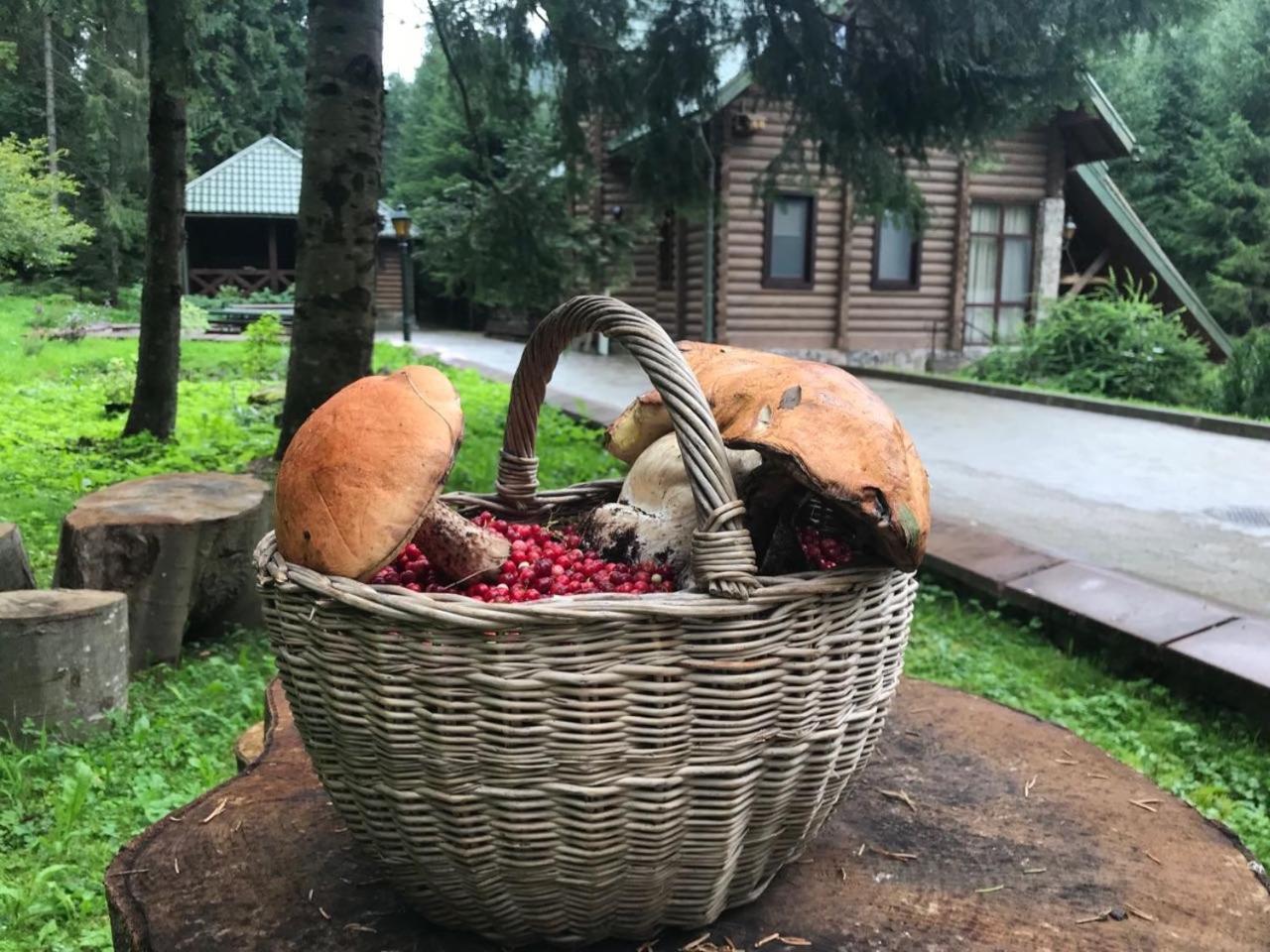 Лісовий Маєток Slavsko Extérieur photo